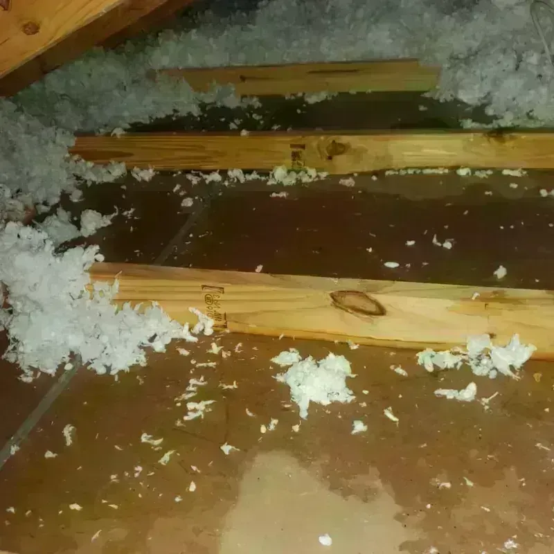 Attic Water Damage in Hattiesburg, MS