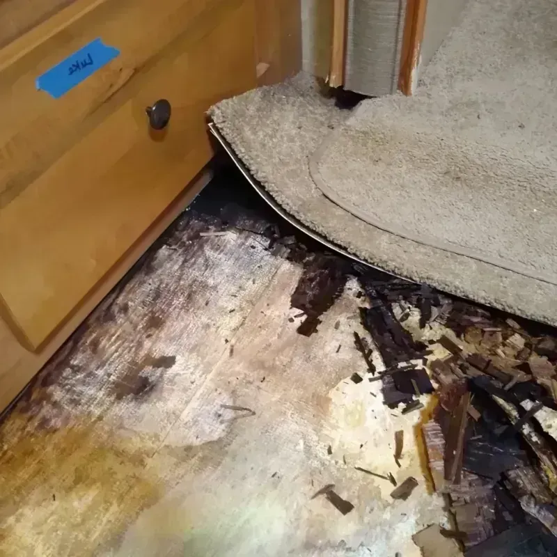 Wood Floor Water Damage in Hattiesburg, MS